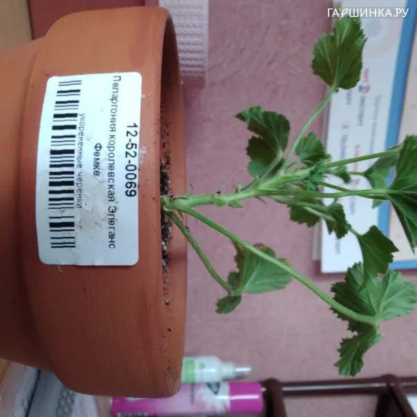 превью изображения отзыва