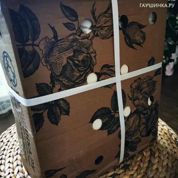превью изображения отзыва