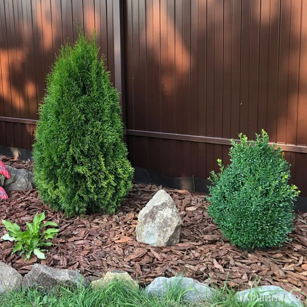 превью изображения отзыва