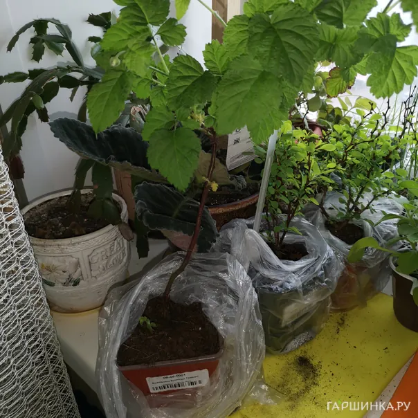 превью изображения отзыва