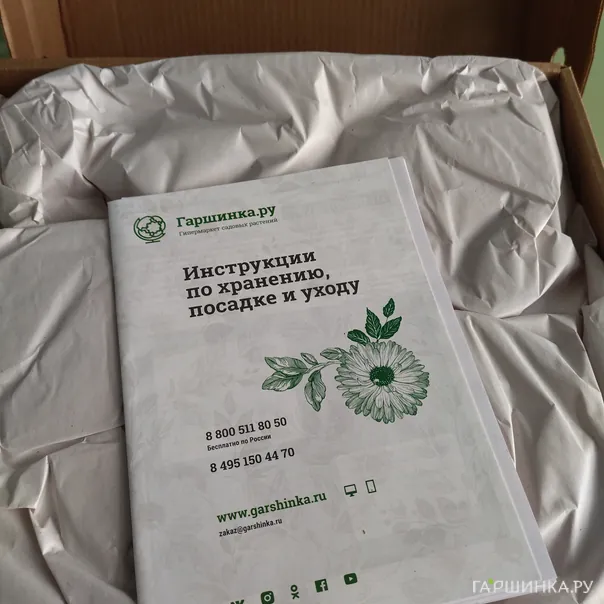 превью изображения отзыва