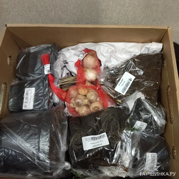 превью изображения отзыва