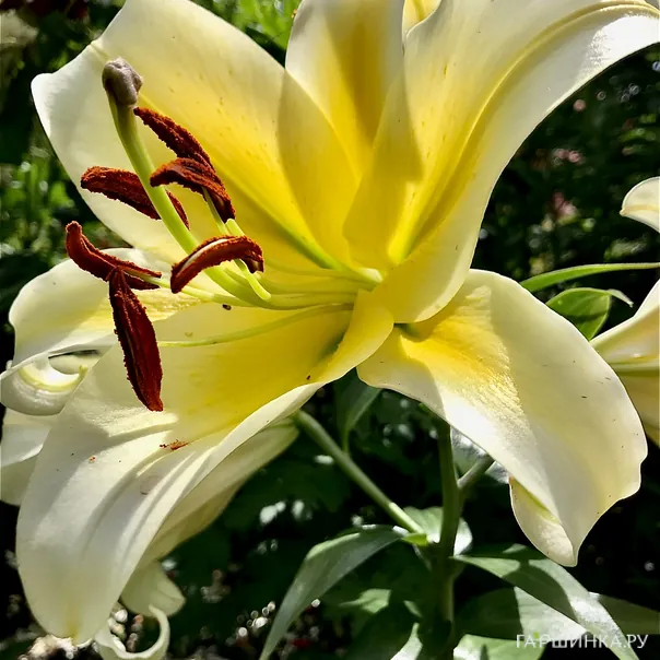 превью изображения отзыва