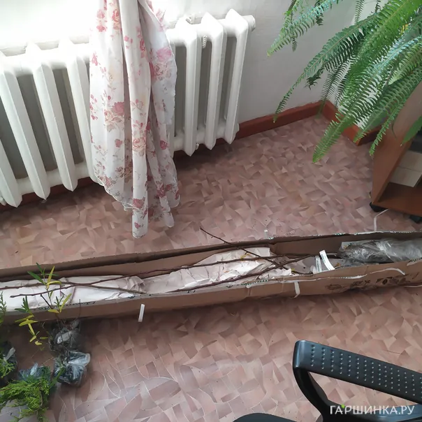 превью изображения отзыва