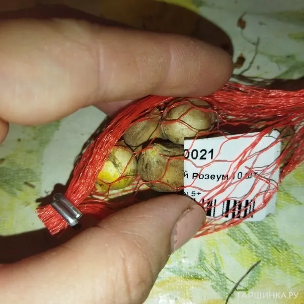 превью изображения отзыва