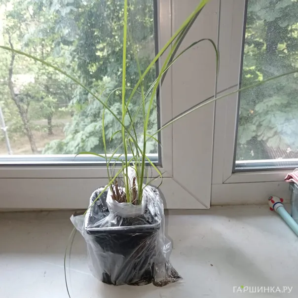 превью изображения отзыва