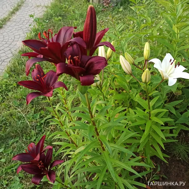 превью изображения отзыва