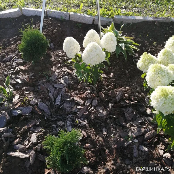 превью изображения отзыва