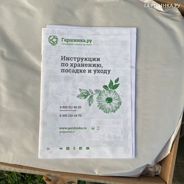 превью изображения отзыва