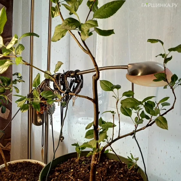 превью изображения отзыва