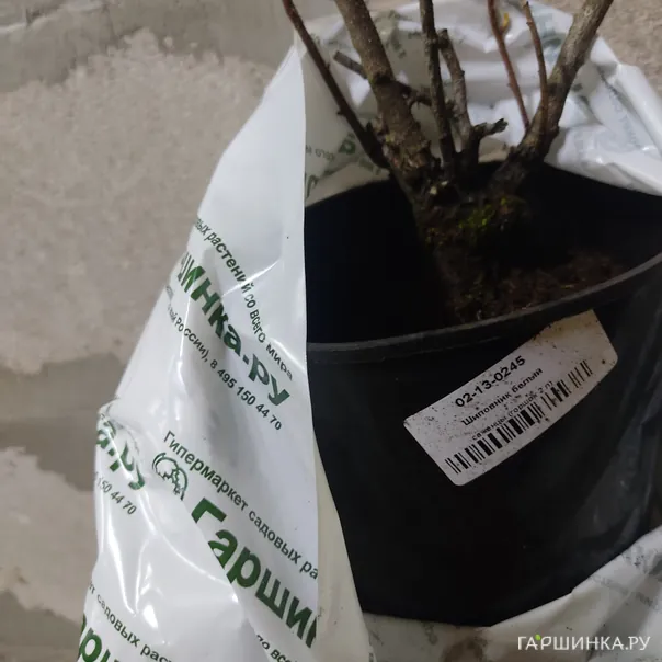 превью изображения отзыва