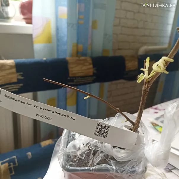 превью изображения отзыва