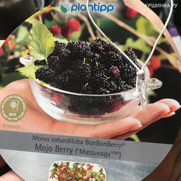 превью изображения отзыва