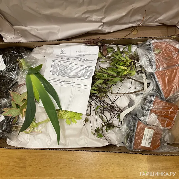 превью изображения отзыва