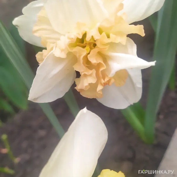 превью изображения отзыва