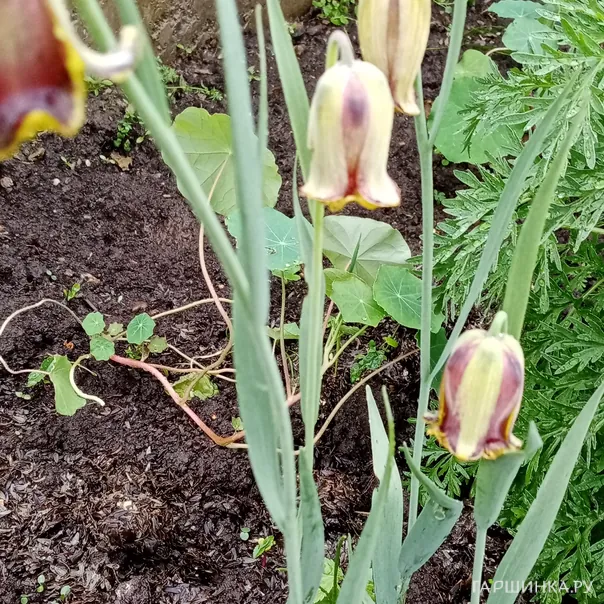 превью изображения отзыва