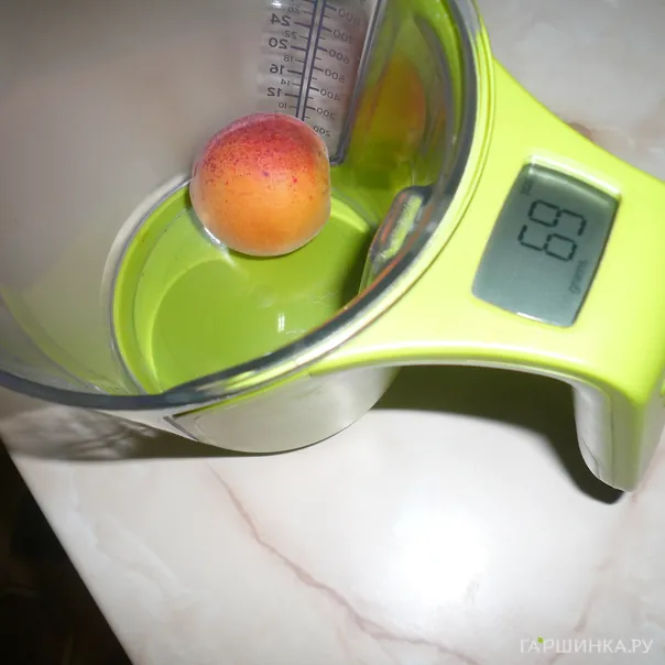 превью изображения отзыва