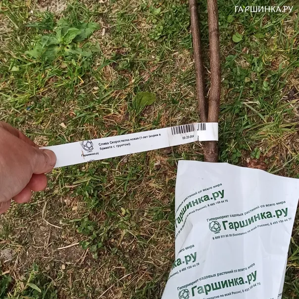 превью изображения отзыва