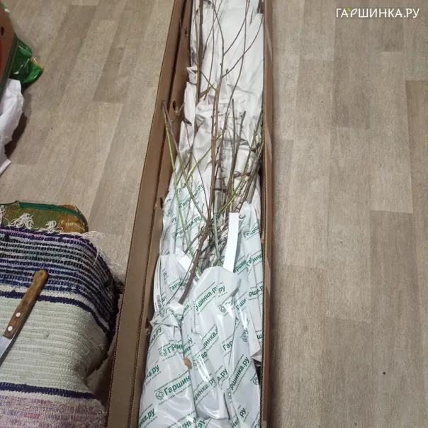 превью изображения отзыва