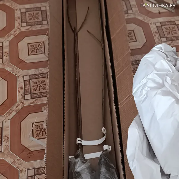 превью изображения отзыва