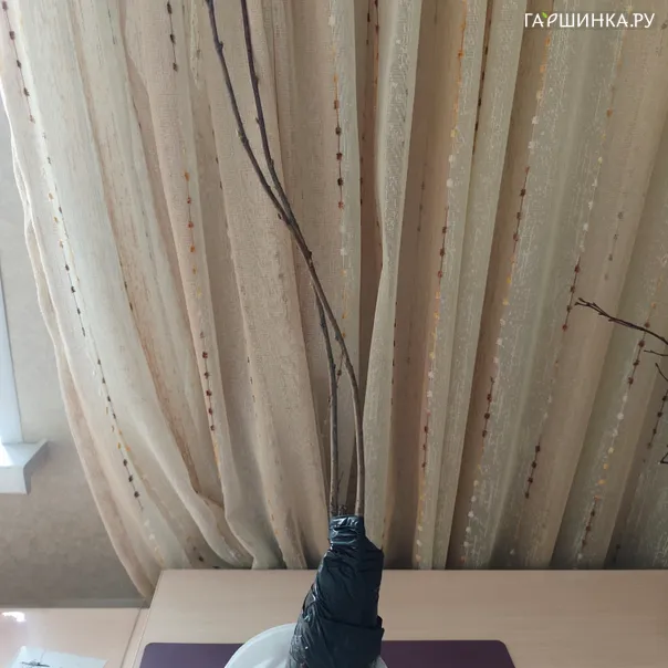 превью изображения отзыва