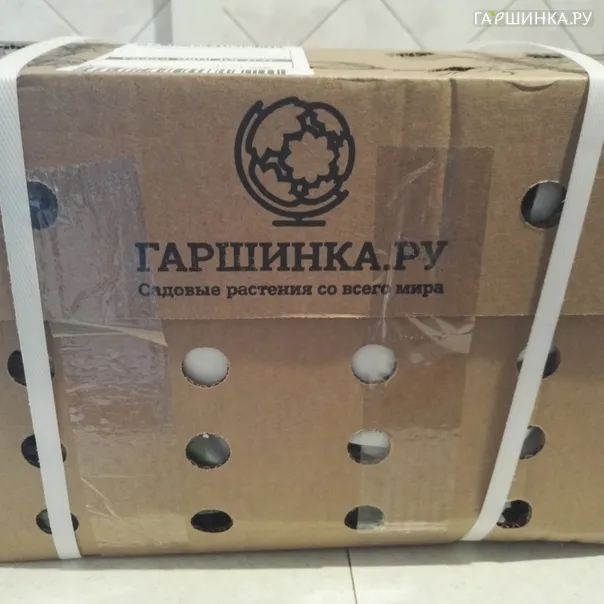 превью изображения отзыва