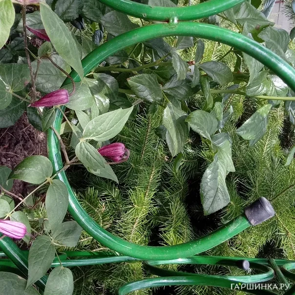 превью изображения отзыва