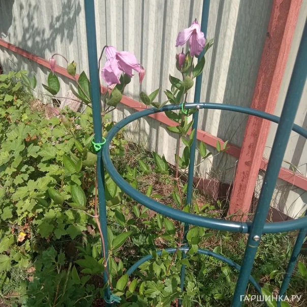 превью изображения отзыва