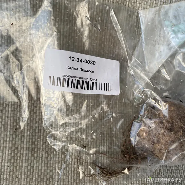 превью изображения отзыва