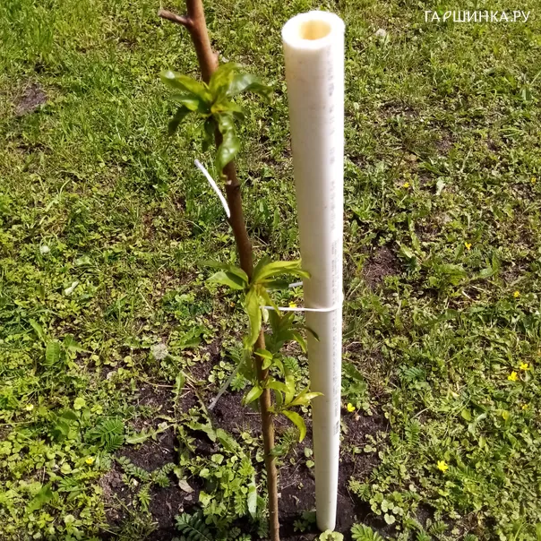 превью изображения отзыва