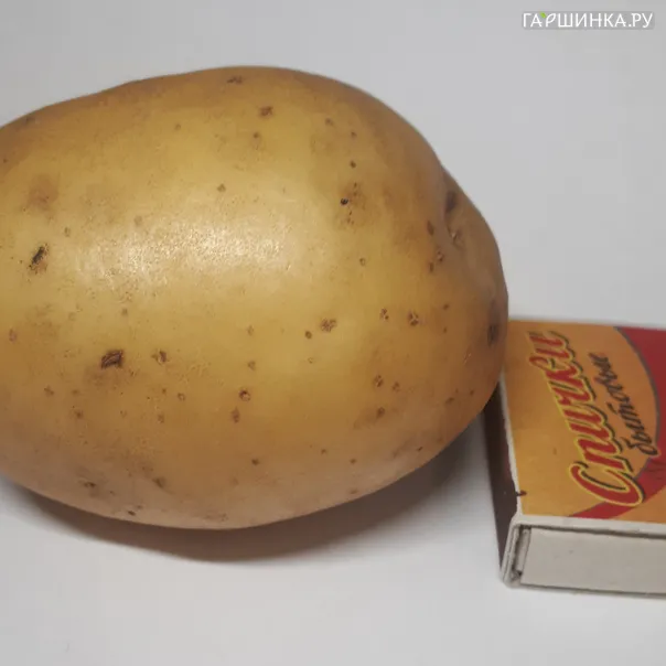превью изображения отзыва