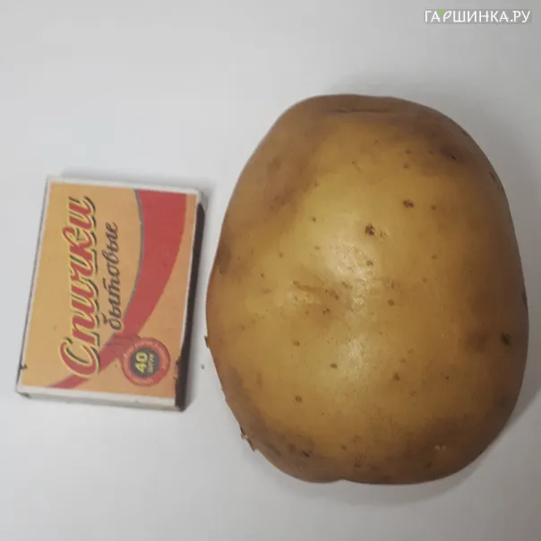 превью изображения отзыва