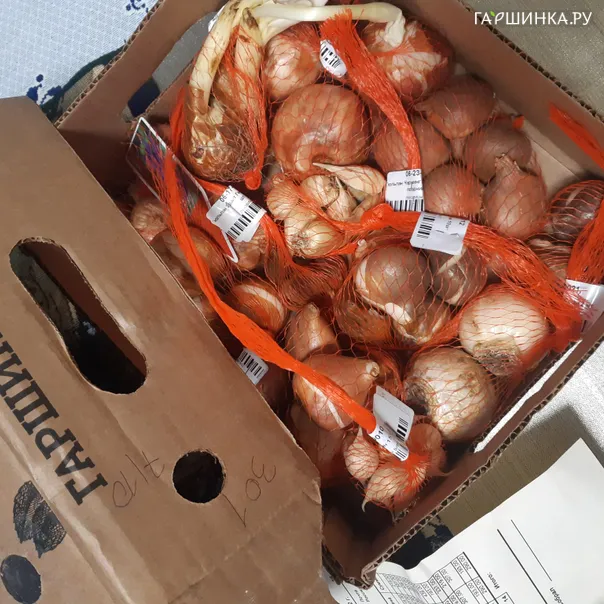 превью изображения отзыва