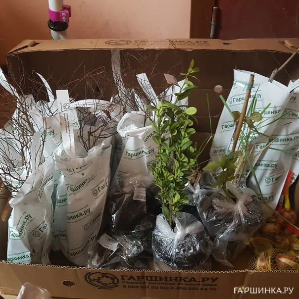 превью изображения отзыва