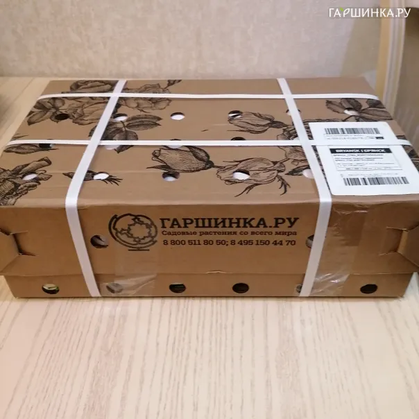 превью изображения отзыва
