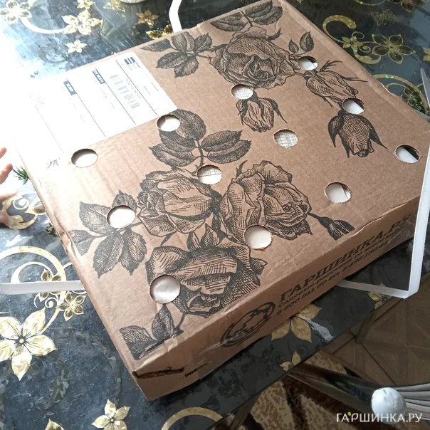 превью изображения отзыва