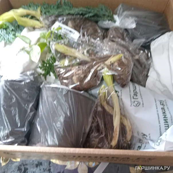 превью изображения отзыва