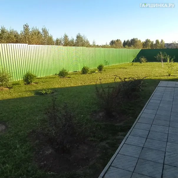 превью изображения отзыва