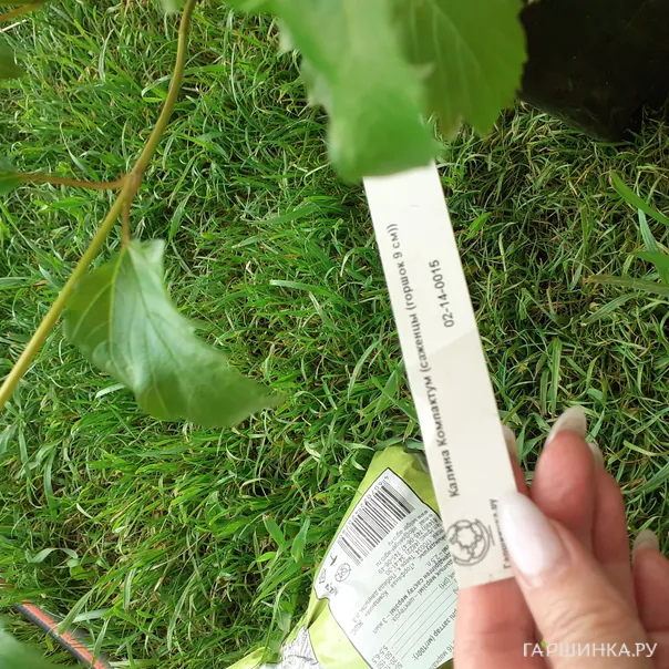 превью изображения отзыва