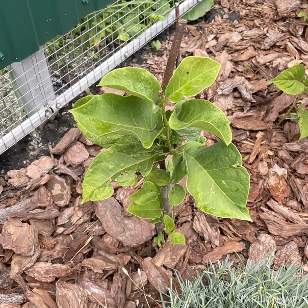 превью изображения отзыва