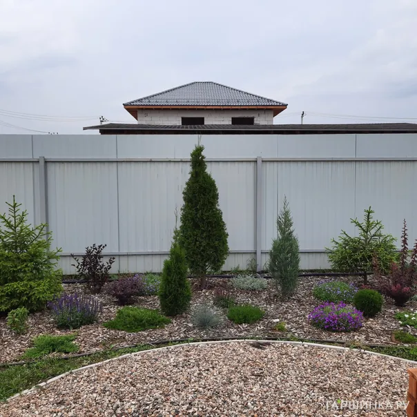 превью изображения отзыва