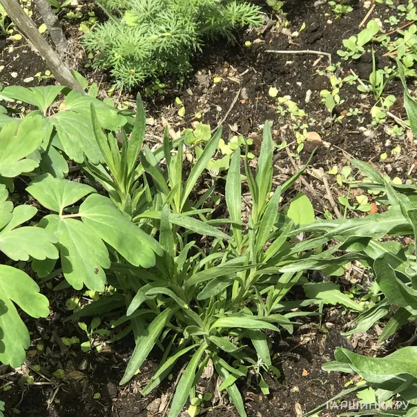 превью изображения отзыва