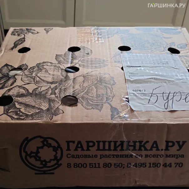 превью изображения отзыва
