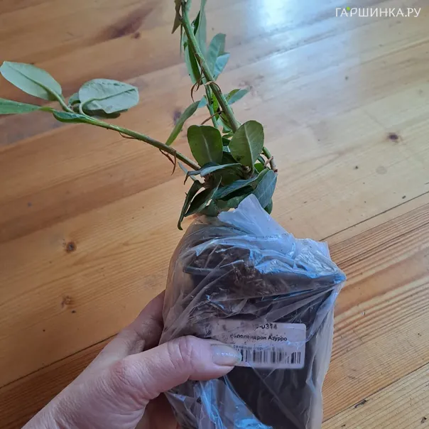 превью изображения отзыва