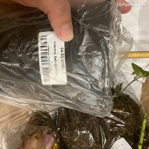 превью изображения отзыва
