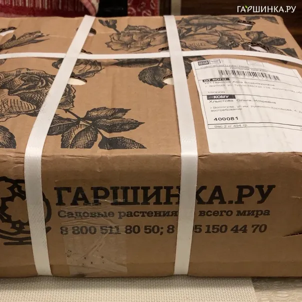 превью изображения отзыва