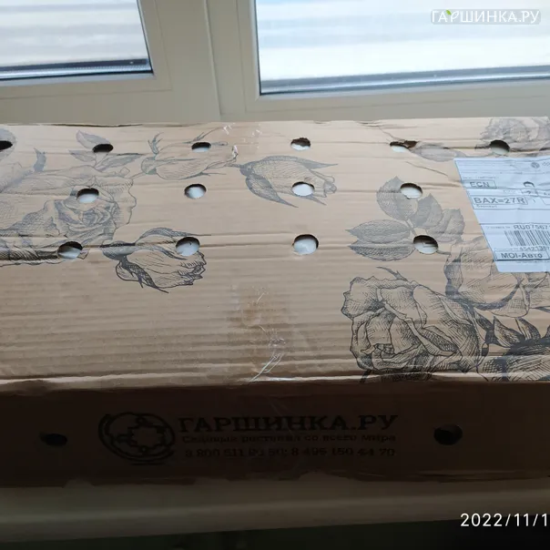 превью изображения отзыва