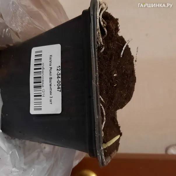превью изображения отзыва
