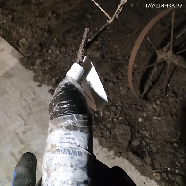 превью изображения отзыва