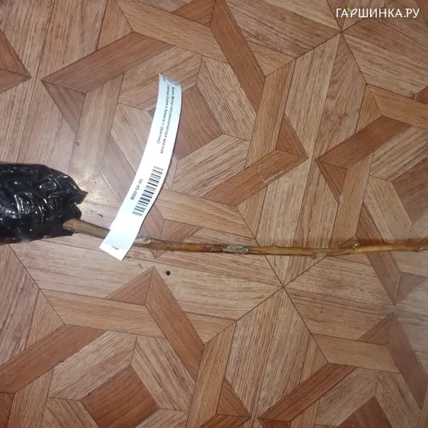 превью изображения отзыва